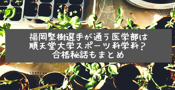 福岡堅樹選手が通う医学部は順天堂大学スポーツ科学科 合格秘話もまとめ Life With Topics