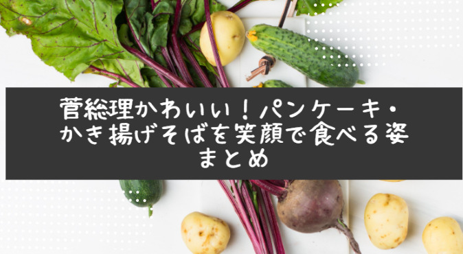 ポスト安倍 令和おじさん菅官房長官の笑顔がかわいい 好物はニューオータニのパンケーキとかき揚げそば Life With Topics