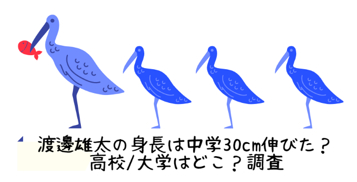 渡邊雄太の身長は中学30cm伸びた 高校 大学はどこ 調査 Life With Topics