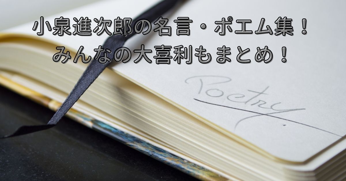 小泉進次郎の名言 ポエム集 みんなの大喜利もまとめ Life With Topics